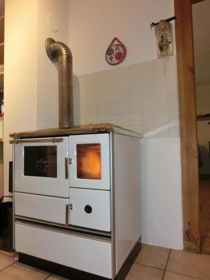Ferien-Messe-Handwerkerwohnung-Haustiere Willkommen Lauf an der Pegnitz Exterior foto